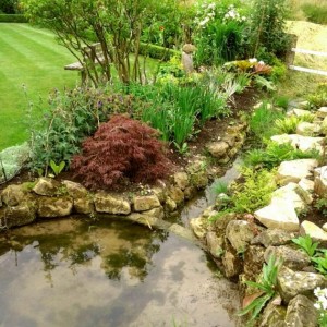 20130704_124339_630x0