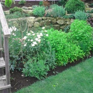 20130704_124405_630x0