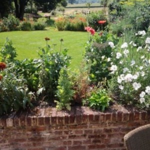 20130716_111444_630x0