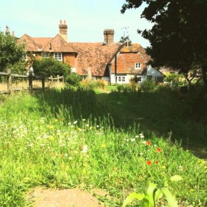 20130716_111552_630x0